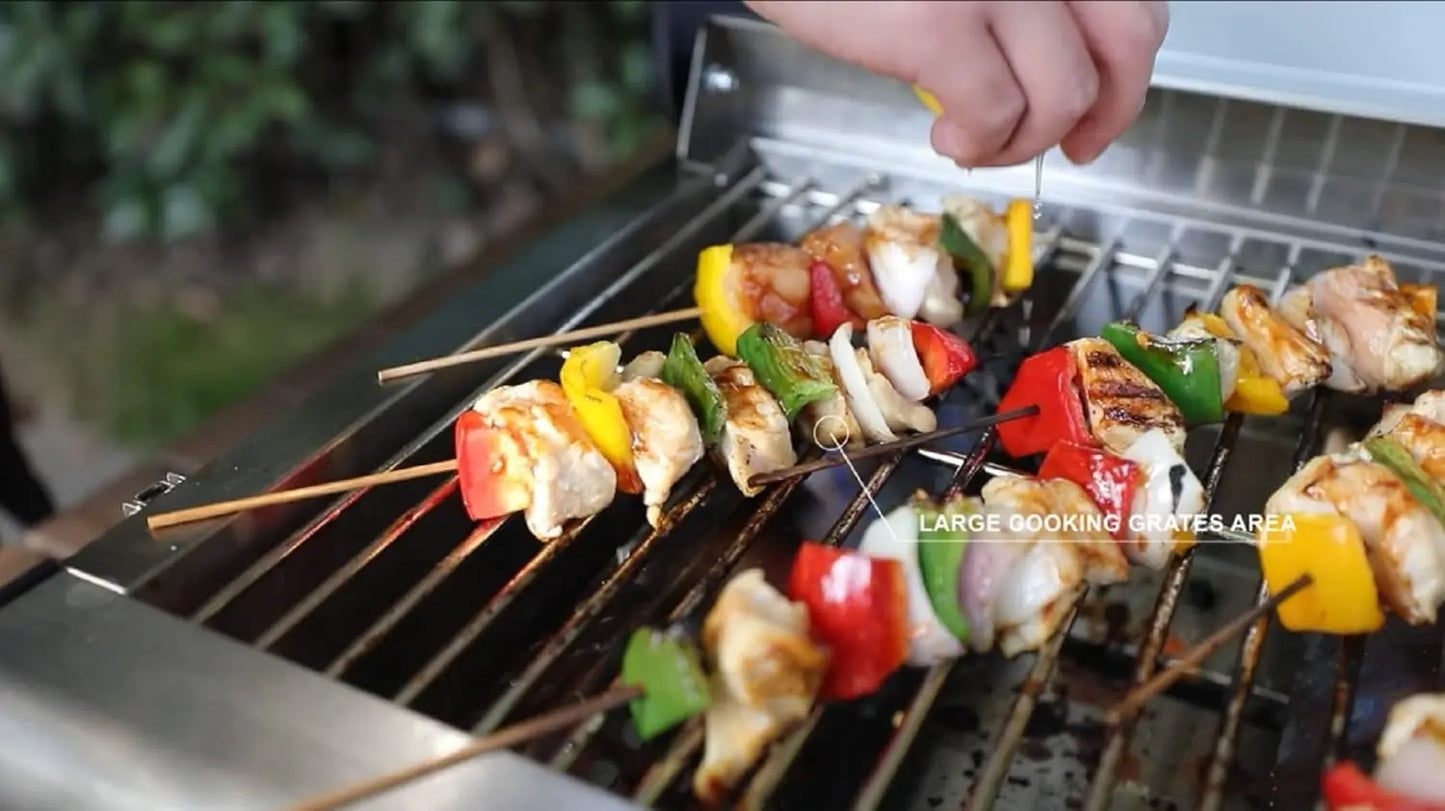 2-Burner Tabletop Gas Grill Portable Camping